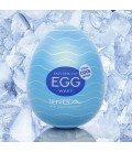 CAJA CON 6 MASTURBADORES TENGA EGG WAVY COOL EDITION